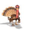 [turkey-waving]